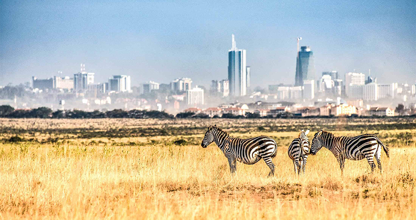 nairobi-national-park-day-tour